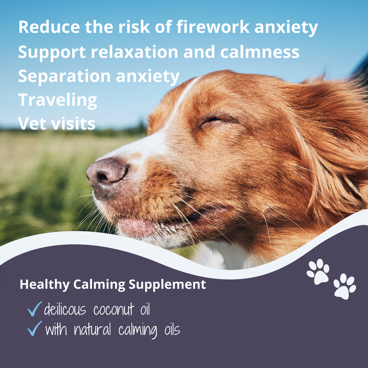 Calming Coconut Oil for Dogs & Cats – 200ml Anxiety Relief Supplement with Chamomile, Valerian & Ashwagandha – Natural Stress Soothing Formula