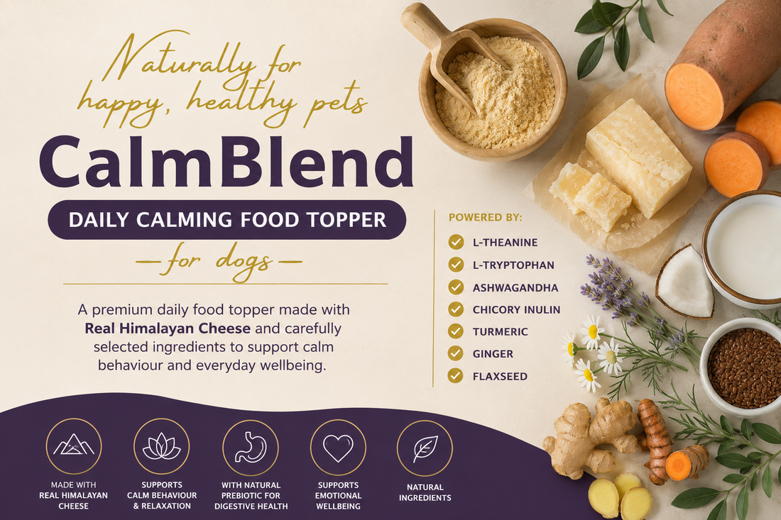 Calm Dog Food Topper | Benefits of NOSEPRINT CalmBlend™
