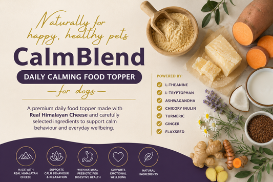 Calm Dog Food Topper | Benefits of NOSEPRINT CalmBlend™