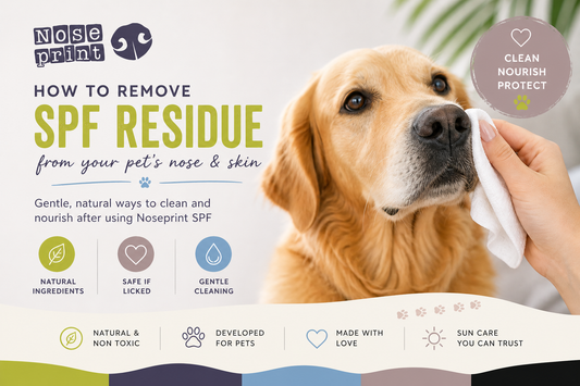 How to Remove SPF Residue from Your Pet’s Nose & Skin