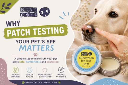 Why Patch Testing Noseprint SPF is So Important