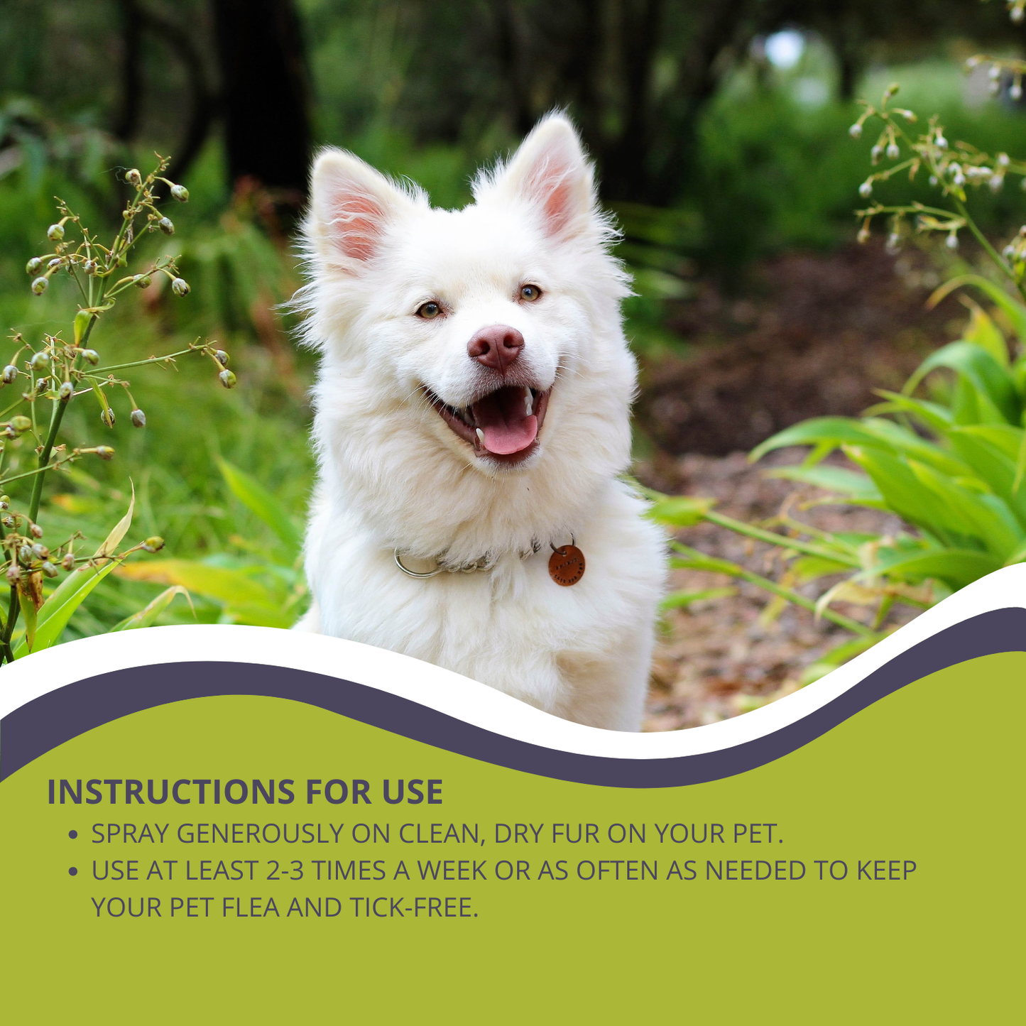 Tick & Flea Spray for Dogs & Cats with Lavender, Cedarwood & Citronella Oils 50ML