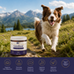 NOSEPRINT CalmBlend™ Daily Calming Food Topper for Dogs | 250g