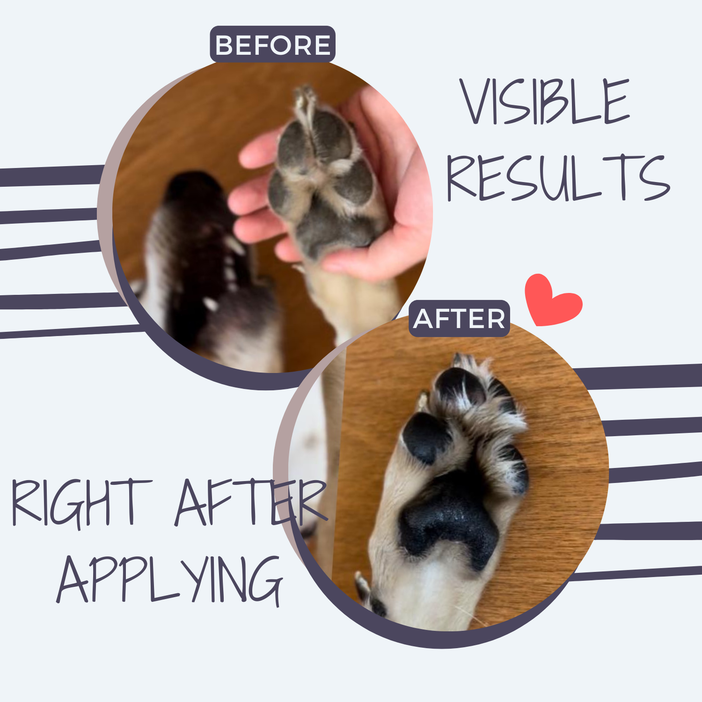 100% Natural Dog Nose & Paw Balm in Stick 50ML