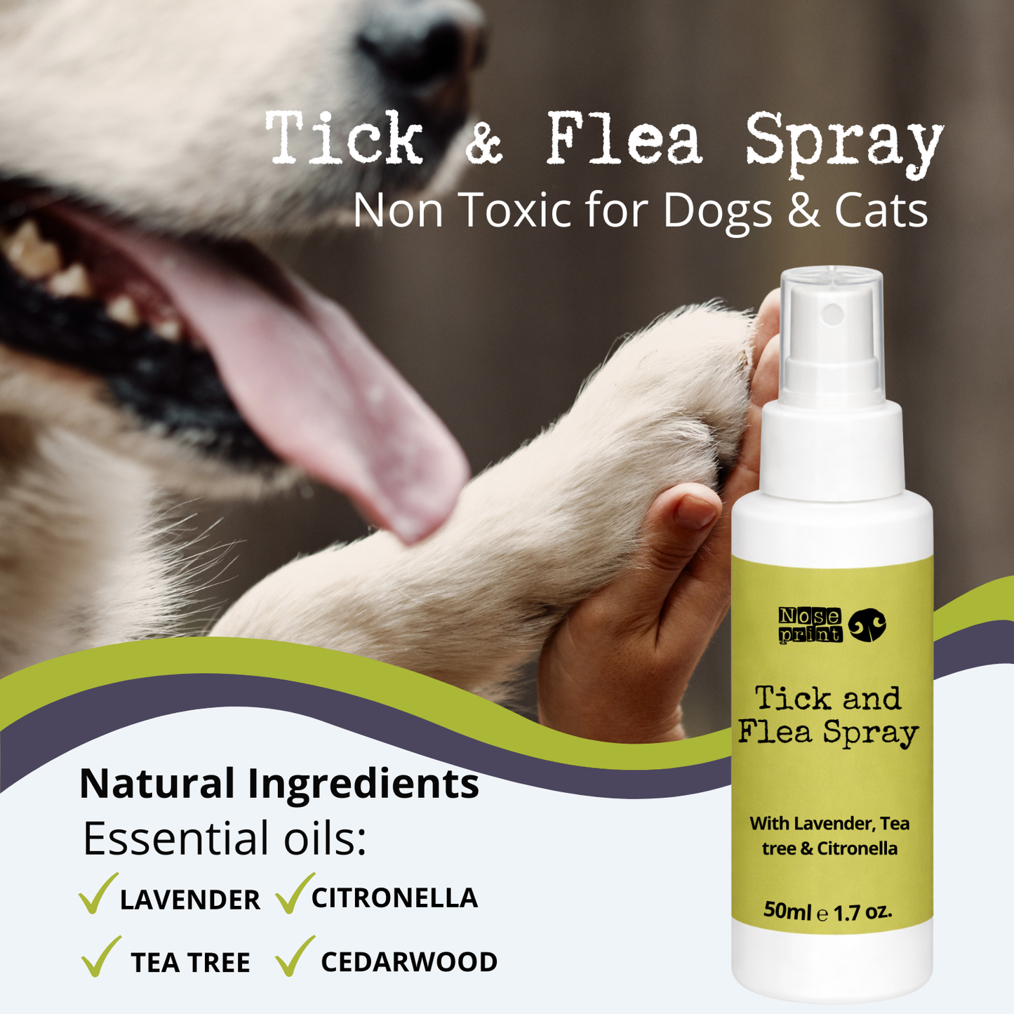 Tick & Flea Spray for Dogs & Cats with Lavender, Cedarwood & Citronella Oils 50ML