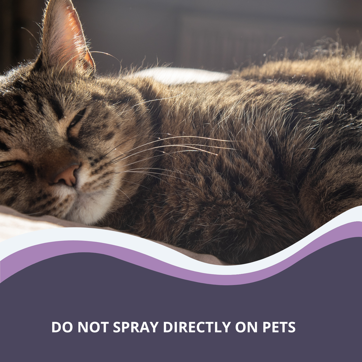 Herbal Calming Spray for Pets
