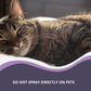 Herbal Calming Spray for Pets