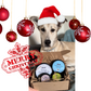 Fur Baby's Wellness Wonders Gift Box